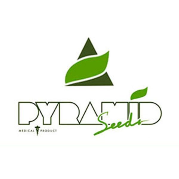 Pyramid_Seeds logo_1