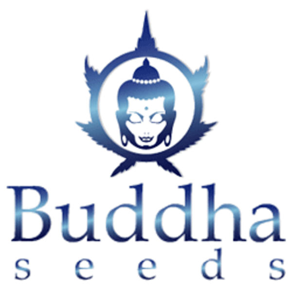 buddha-seeds