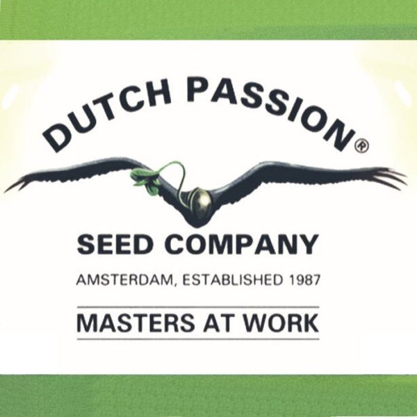 logo Dutch-Passion-Seed-Company