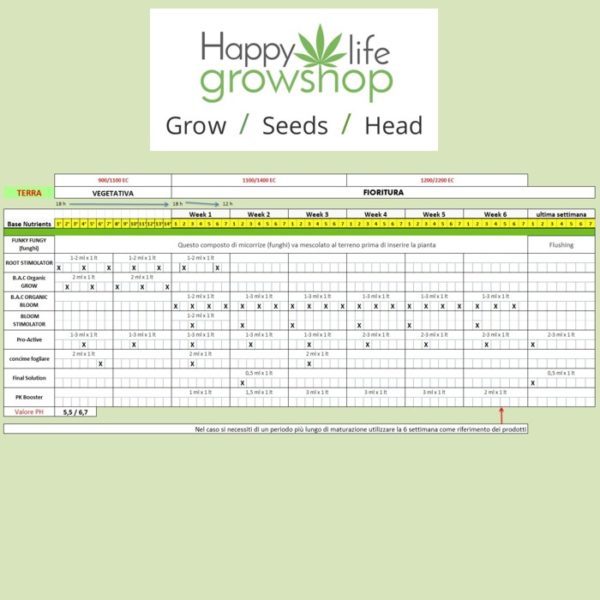 schema BAC -happylifegrowshop