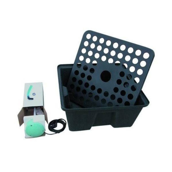 impianto per talee - haapylifegrowshop