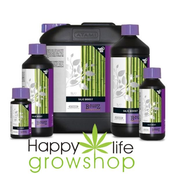 silicio atami - happylifegrowshop