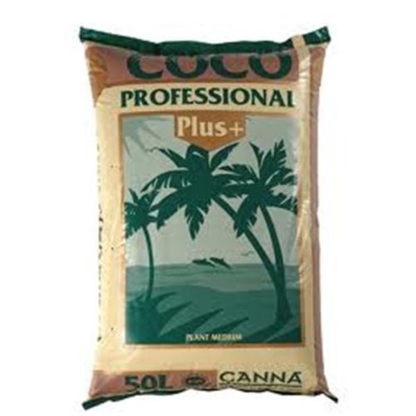 canna cocco professional