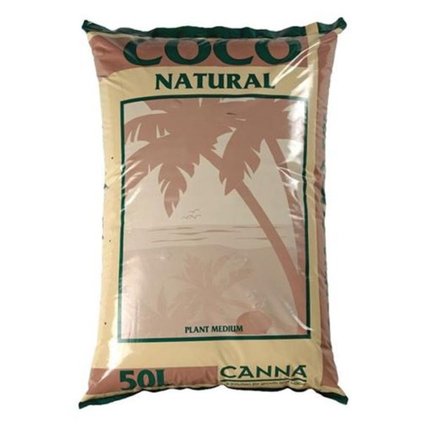 cocco canna natural