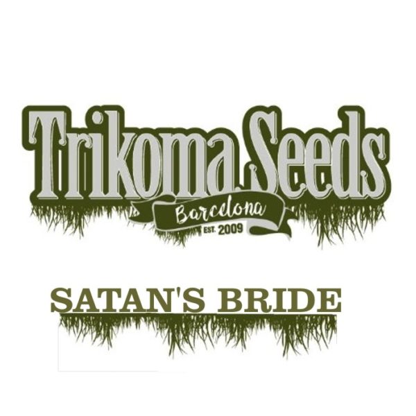 SATAN'S BRIDE - trikoma seeds