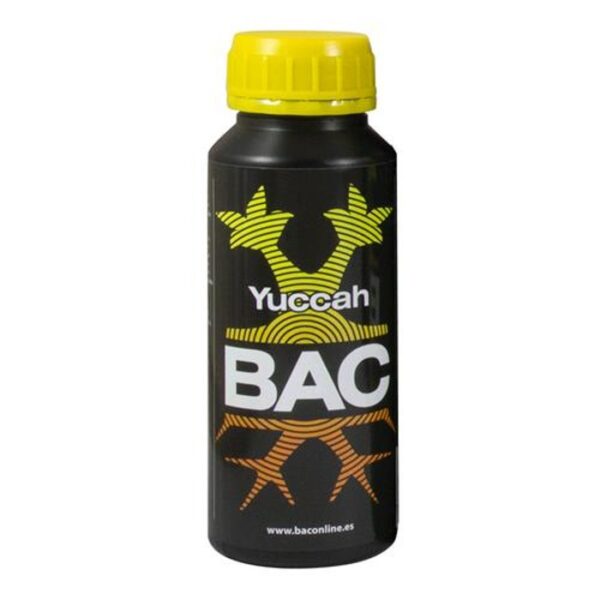 yuccah bac
