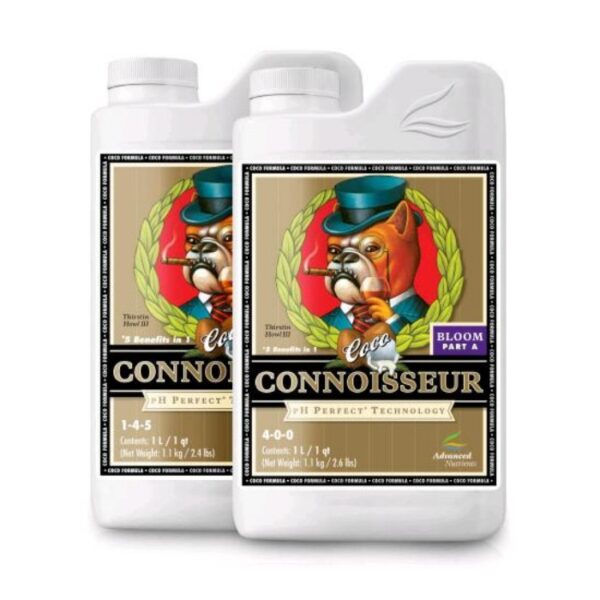 cocco bloom canosier