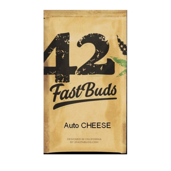 AUTO CHEESE