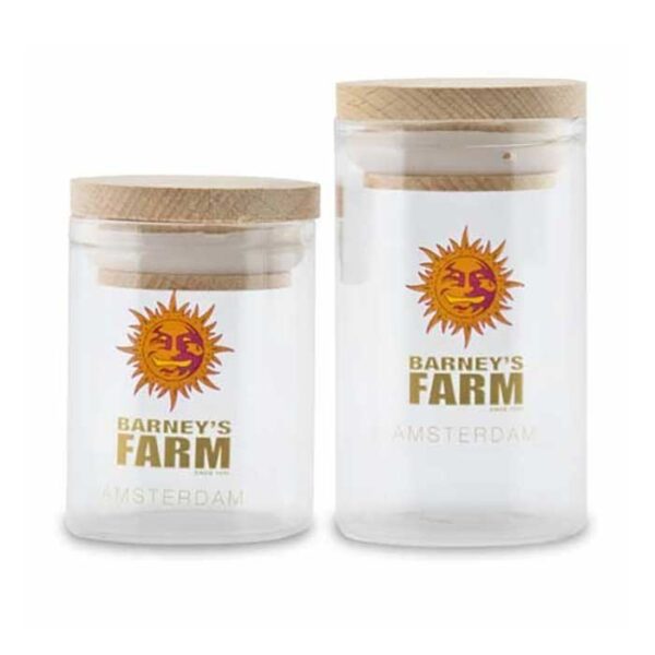 glass-jars-medium_barney's