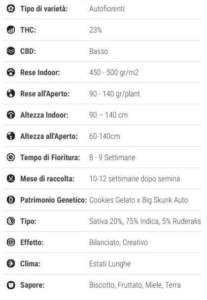 Cookies Gelato