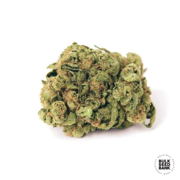 auto-Guerilla_Glue