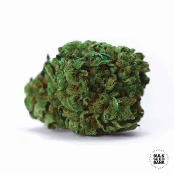 OG-Kush-FEM
