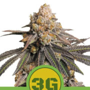 Happy life grow shop