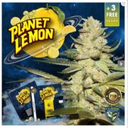 Planet Lemon 710 th seeds