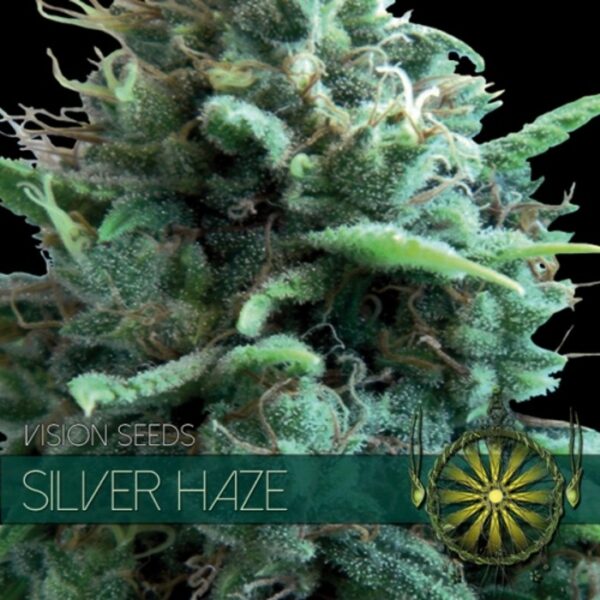 Silver Haze