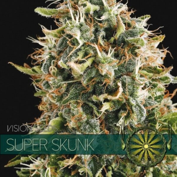 Super Skunk - Femminizzata - Vision seeds