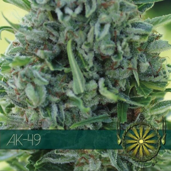 vision-seeds-ak-49