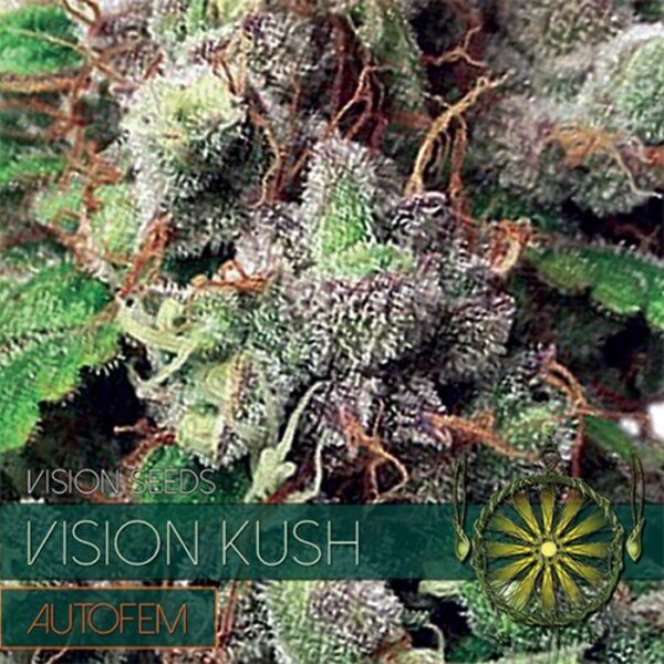 vision-seeds-auto-kush
