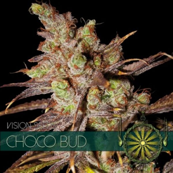 vision-seeds-choco-bud