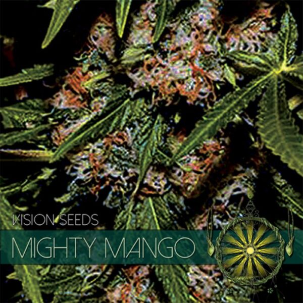 vision-seeds-mighty-mango