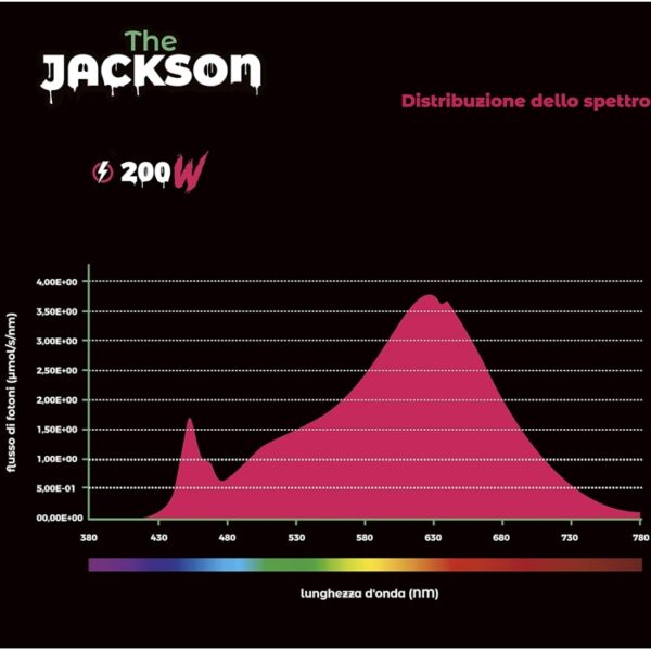 THE JUNGLE - QUANTUM BOARD - THE JACKSON LT 200W 2