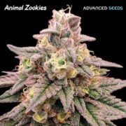 Happy Life Grow Shop