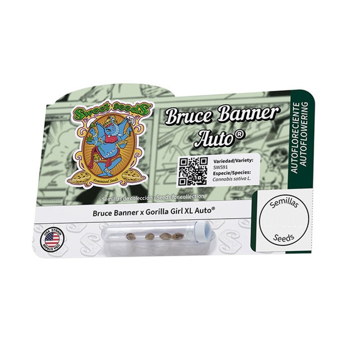 BRUCE BANNER Auto® - Sweet seeds