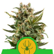 Happy life grow shop