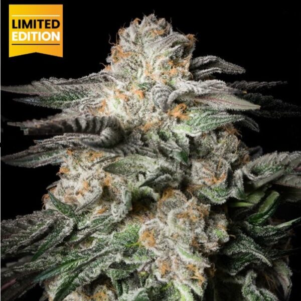 happy life grow shop