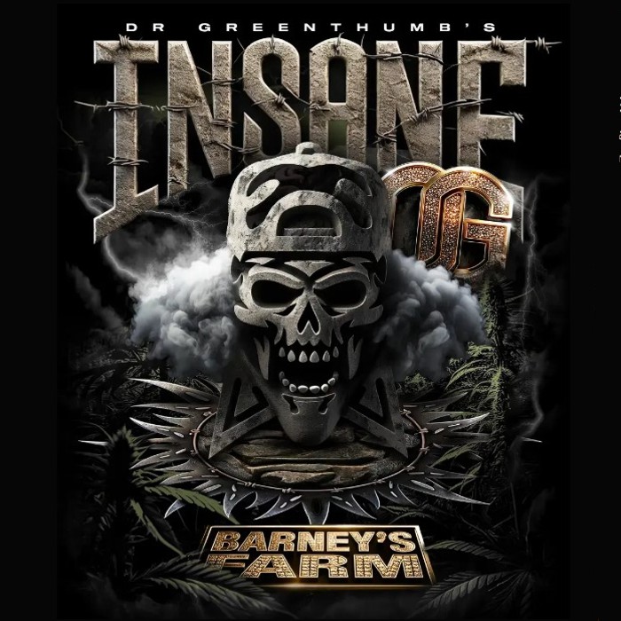 Insane OG Strain - Barney's Farm happy life grow shop