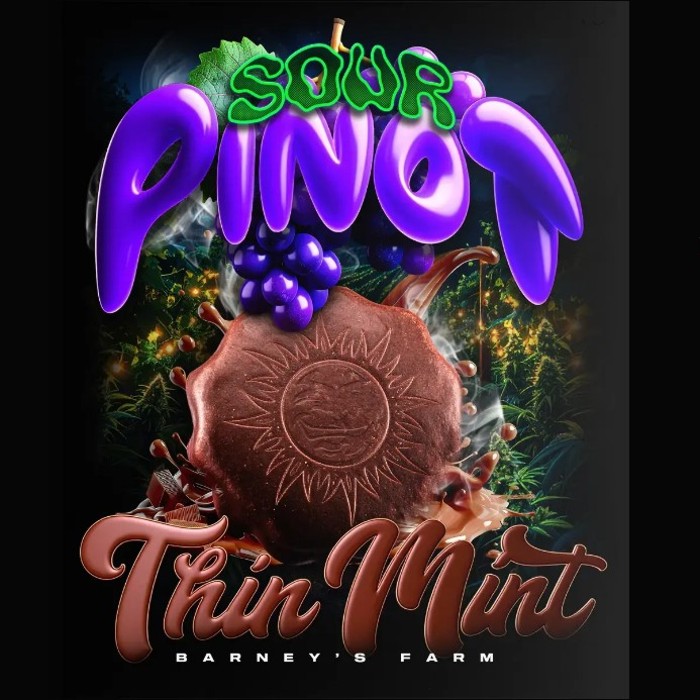 Thin Mint x Sour Pinot Auto Strain - Barneys Farm happy life grow shop