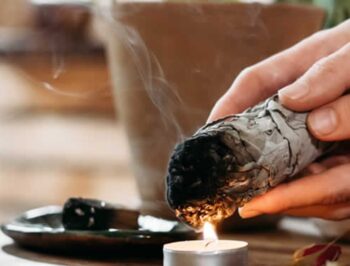 Salvia Bianca: come purificare casa, corpo ed energie in modo profondo