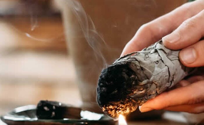 Salvia Bianca: come purificare casa, corpo ed energie in modo profondo