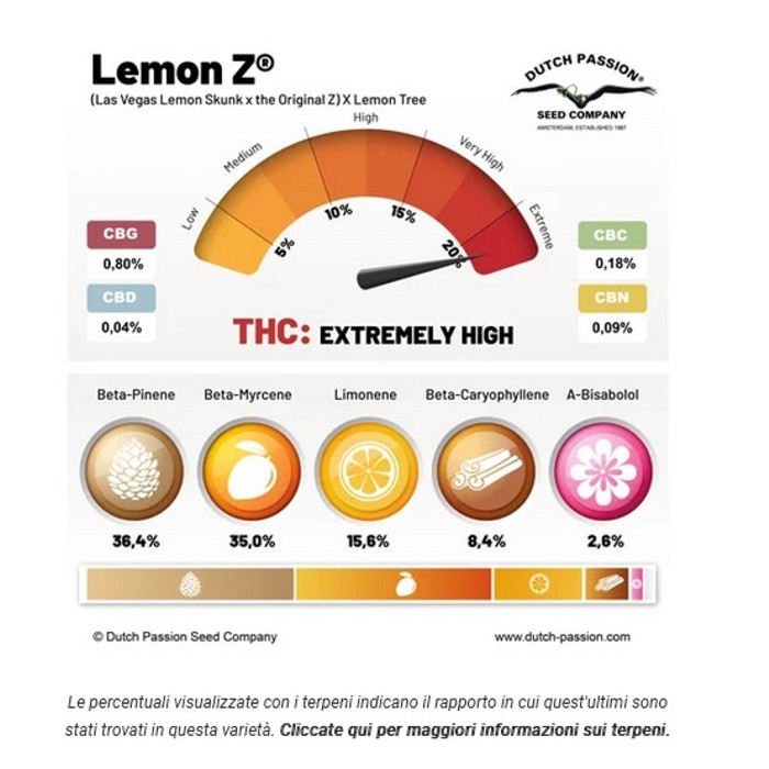 Lemon Z - Dutch Passio