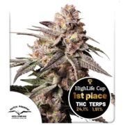 happy life grow shop rovigo