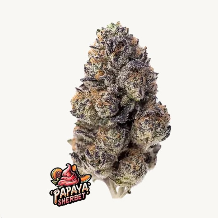 Papaya Sherbet - Fast Buds