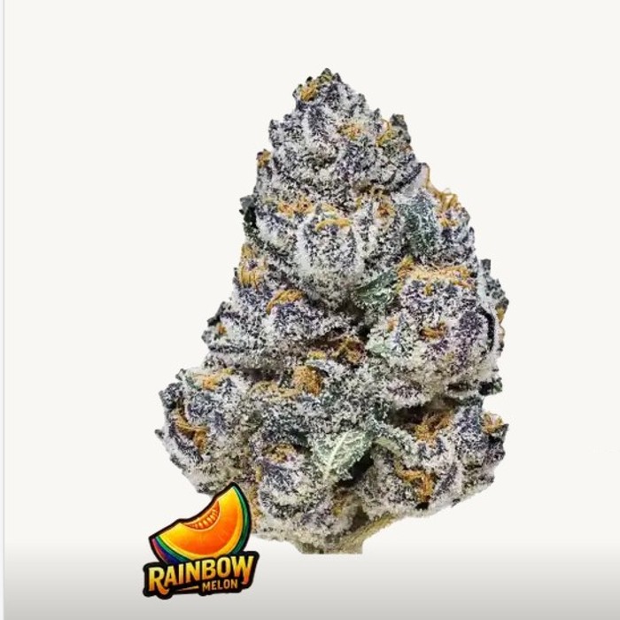 Rainbow Melon™