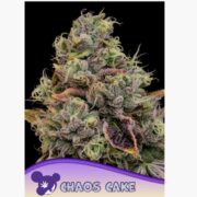happy life grow shop Lendinara