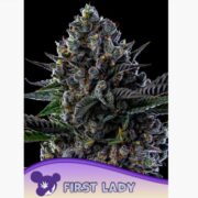happy life grow shop Lendinara
