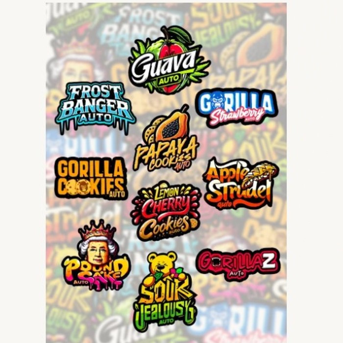 Mix Pack Auto 10 seeds - Fast Buds 42 happy life grow shop rovigo