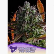 happy life grow shop Lendinara