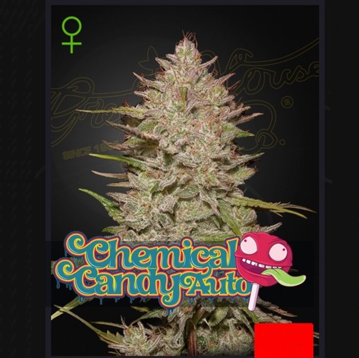 Chemical Candy Auto 2 - Green House