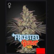 happy life grow shop