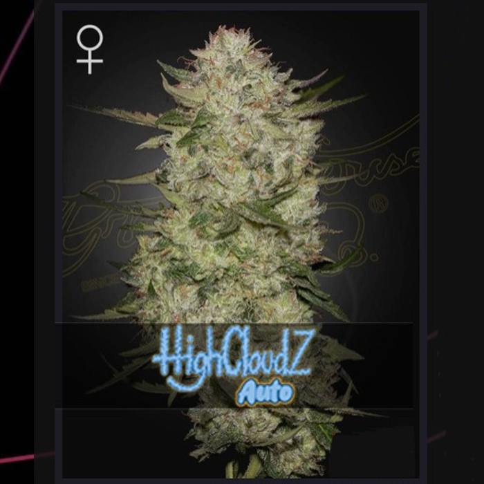 HighCloudZ Auto - Green House