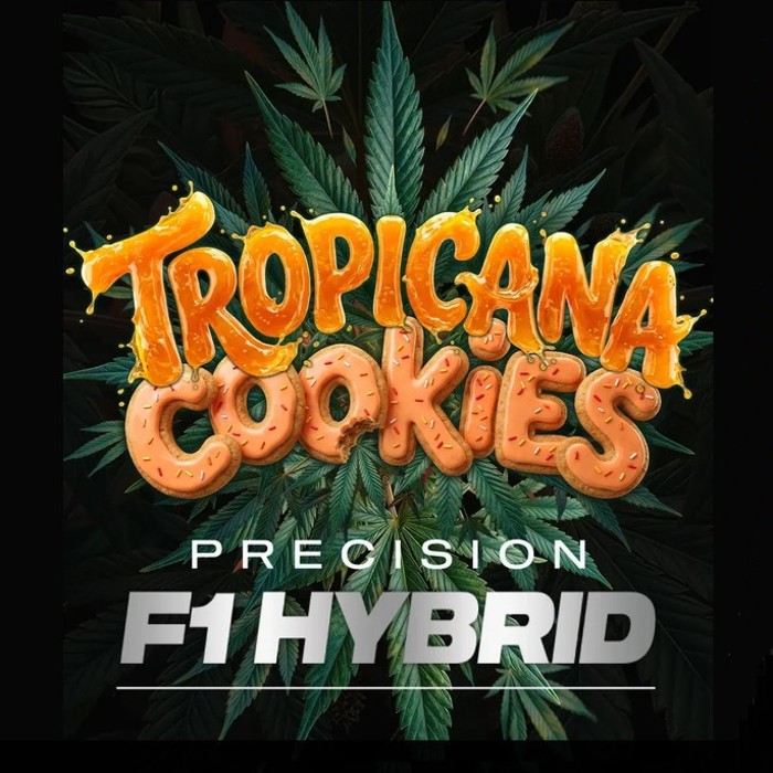 Tropicana Cookies Auto by Barneys Farm