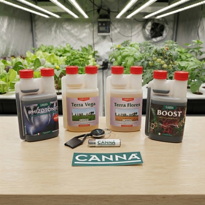 Offerta kit canna minerale 250ml