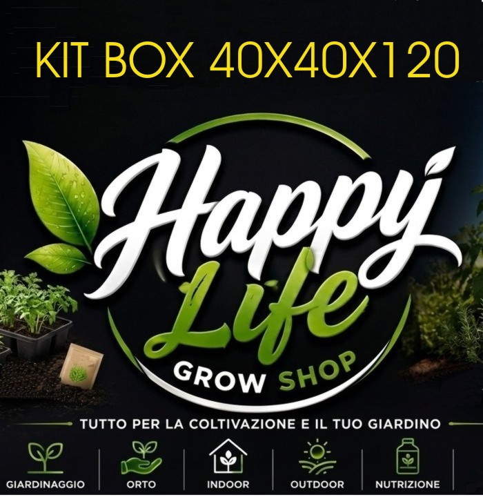 per box