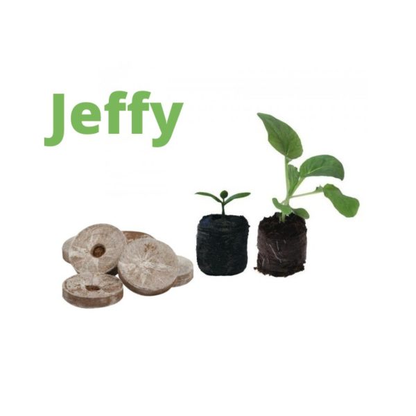 Jeffy