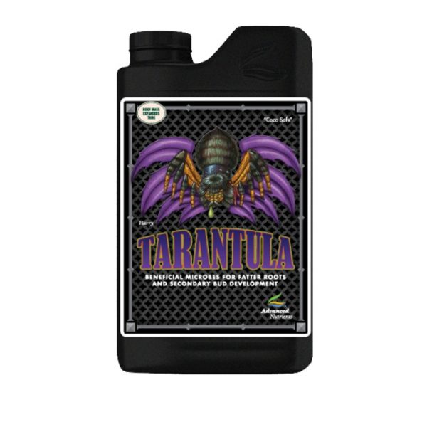 Tarantula radicante